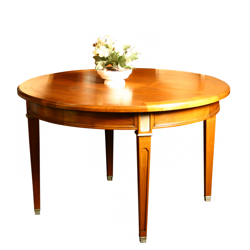 Table de séjour Victor style Directoire